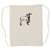 Canvas Drawstring Backpack Thumbnail